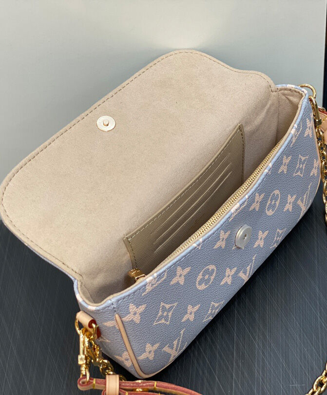 Louis Vuitton Wallet on Chain Ivy M12778 Gray